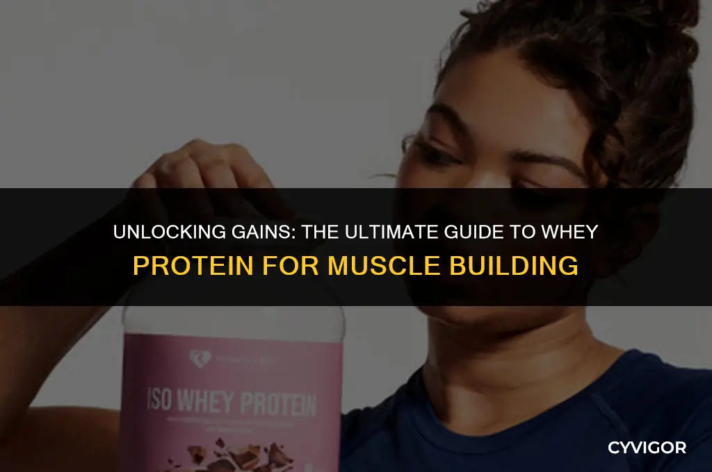 which whey protein is best for muscle building