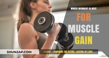Best Workouts for Muscle Gain: Effective Strategies to Build Strength