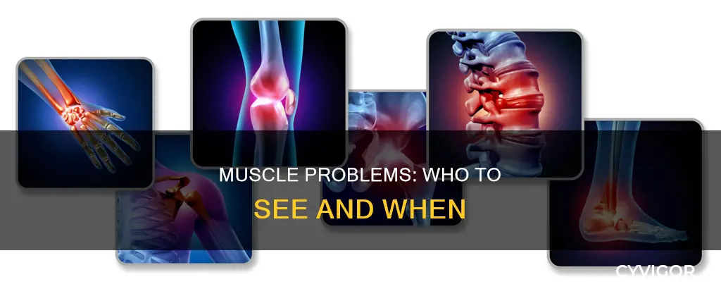 who deals with muscle problems