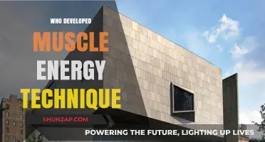 Pioneering Muscle Energy Technique: Its Development and Impact
