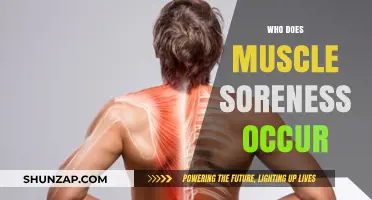 Understanding Muscle Soreness: Why It Happens and How to Recover