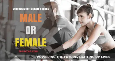 Muscle Group Differences: Males vs. Females – Unraveling the Myth