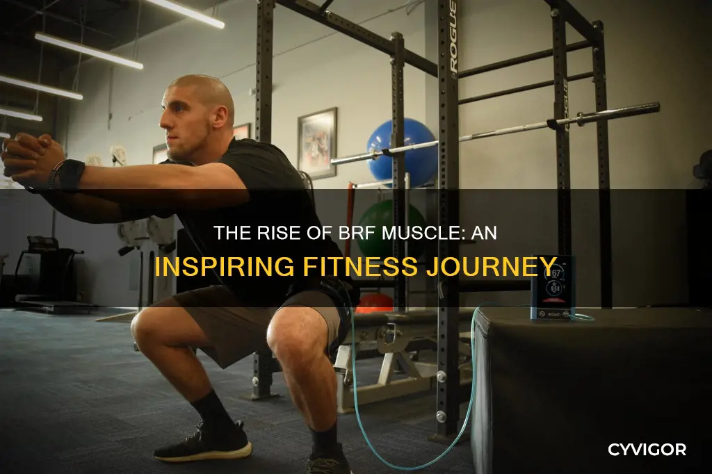 who is brf muscle