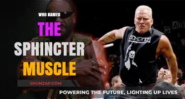 The Sphincter Muscle: Who Coined the Term?