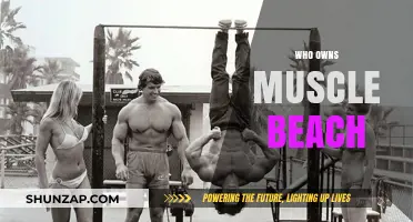 The History of Muscle Beach: Who Owns the Iconic Gym?