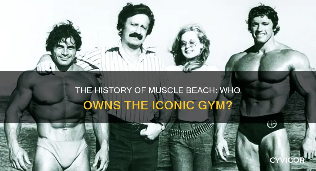 who owns muscle beach