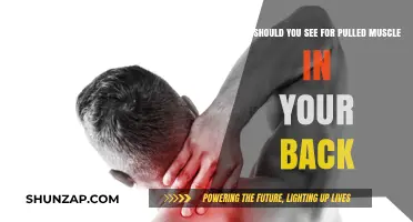 Pulled Back Muscle: Who to See for Effective Treatment and Recovery