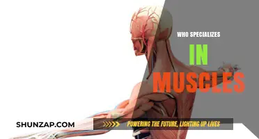 Muscle Masters: Unlocking the Body's Power