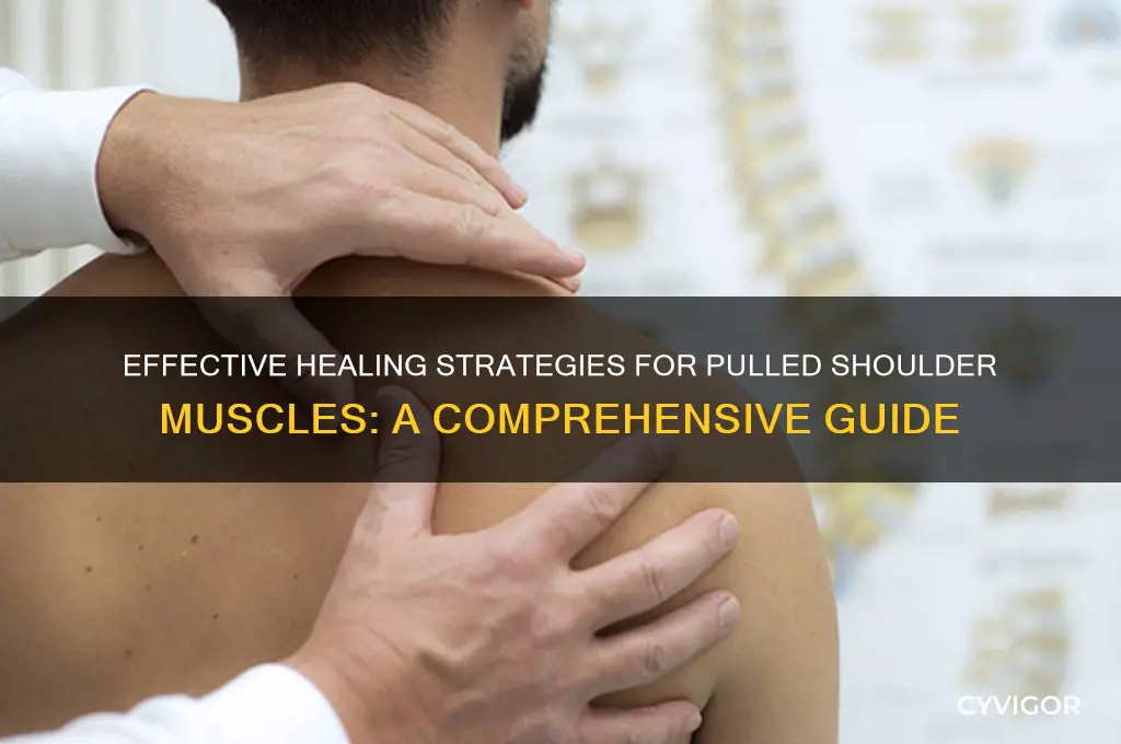 who to heal shoulder with pulled muscle