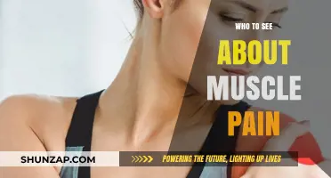 Who to See for Muscle Pain: Expert Guide to Relief