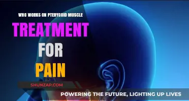 Pterygoid Muscle Pain Treatment: Specialists and Therapies Explained