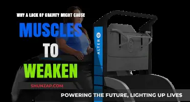 Zero Gravity's Impact: How Weightlessness Weakens Muscles Over Time