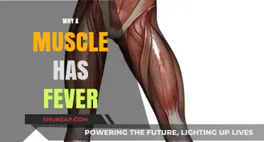 Muscle Fever: Causes and Prevention