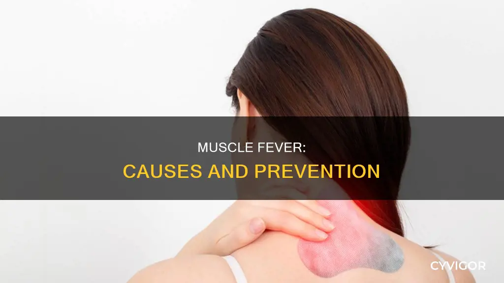 why a muscle has fever