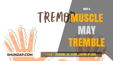 Muscle Tremors: What Causes Them and How to Stop?