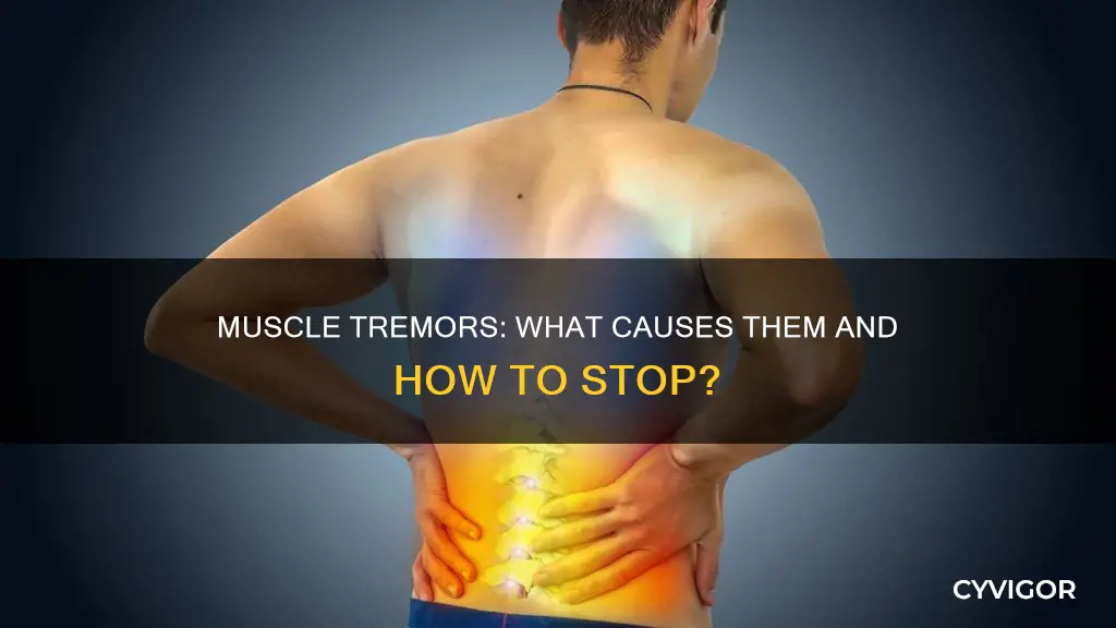 why a muscle may tremble