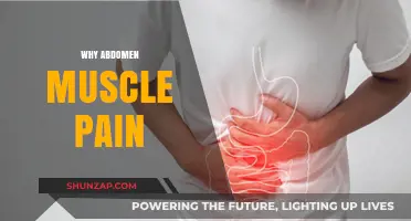 Understanding Causes of Persistent Abdomen Muscle Pain and Relief Tips