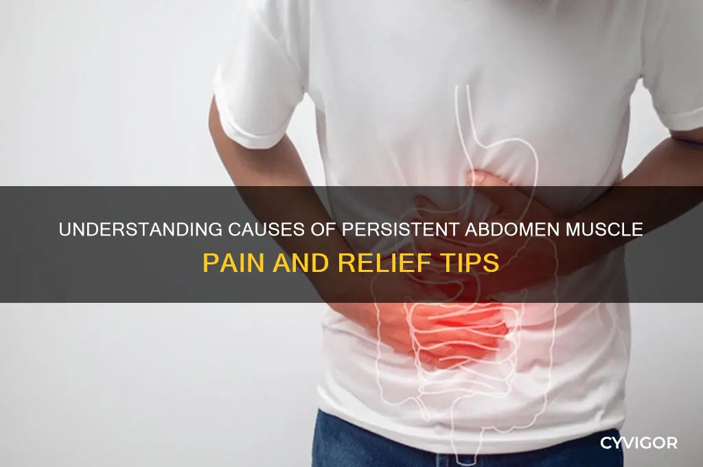 why abdomen muscle pain