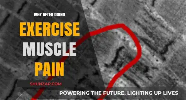 Post-Workout Muscle Pain: Understanding Delayed Onset Muscle Soreness (DOMS)