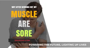 Post-Workout Muscle Soreness: Understanding Delayed Onset Muscle Soreness (DOMS)