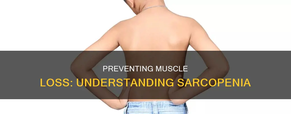 why age related muscle loss