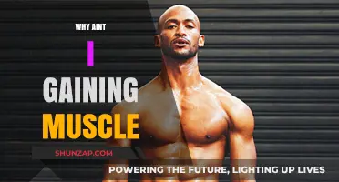 Why Aren't You Gaining Muscle? Uncover the Hidden Reasons
