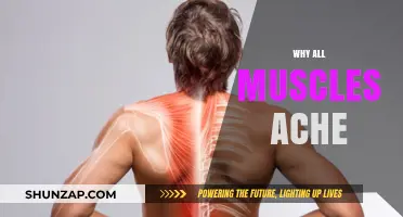 Muscle Aches: Understanding the Mystery of Pain