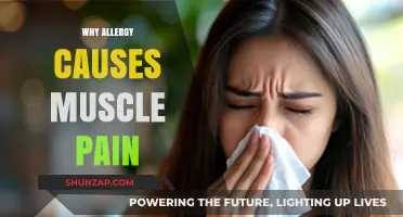 Allergies and Muscle Pain: Unraveling the Surprising Connection