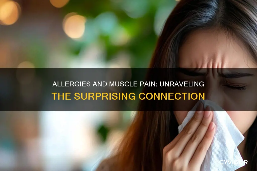 why allergy causes muscle pain