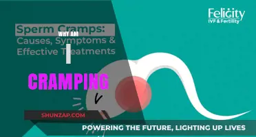 Understanding Cramps: Causes and Remedies for Everyday Discomfort