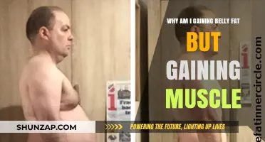 Belly Fat vs. Muscle Gain: Understanding Your Body's Transformation