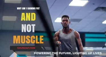 Why Fat Gain Over Muscle: Uncovering Your Fitness Plateau Causes