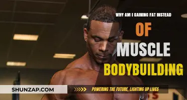 Why Fat Gain Overshadows Muscle Growth in Bodybuilding: Key Reasons
