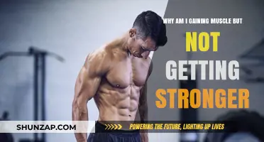 Muscle Growth Without Strength Gains: Unraveling the Fitness Paradox