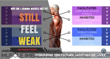 Gaining Muscle but Feeling Weak? Unraveling the Strength Paradox