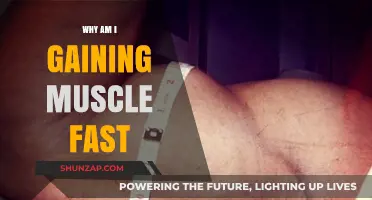 Rapid Muscle Growth Explained: Factors Behind Your Quick Gains