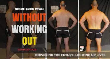 Unexplained Muscle Gain: Causes Beyond the Gym Explored