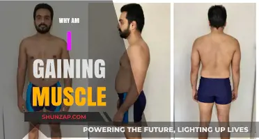 Why Am I Gaining Muscle? Understanding Your Body's Transformation