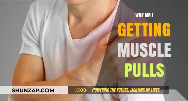 Understanding Muscle Pulls: Causes, Prevention, and Effective Recovery Strategies