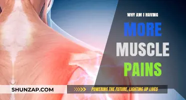 Understanding Increased Muscle Pains: Causes, Prevention, and Relief Strategies