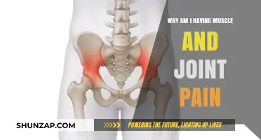 Understanding Muscle and Joint Pain: Causes, Remedies, and Prevention Tips