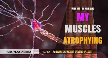 Understanding Muscle Atrophy and Chronic Pain: Causes and Solutions