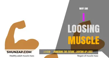 Unraveling the Mystery of Muscle Loss