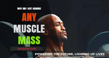 Unlocking Muscle Growth: Why Your Gains Might Be Stalling