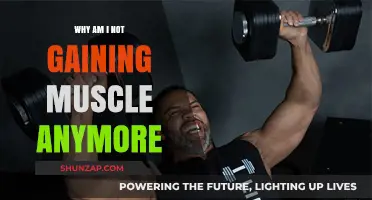 Why Your Muscle Gains Have Stalled: Breaking the Plateau
