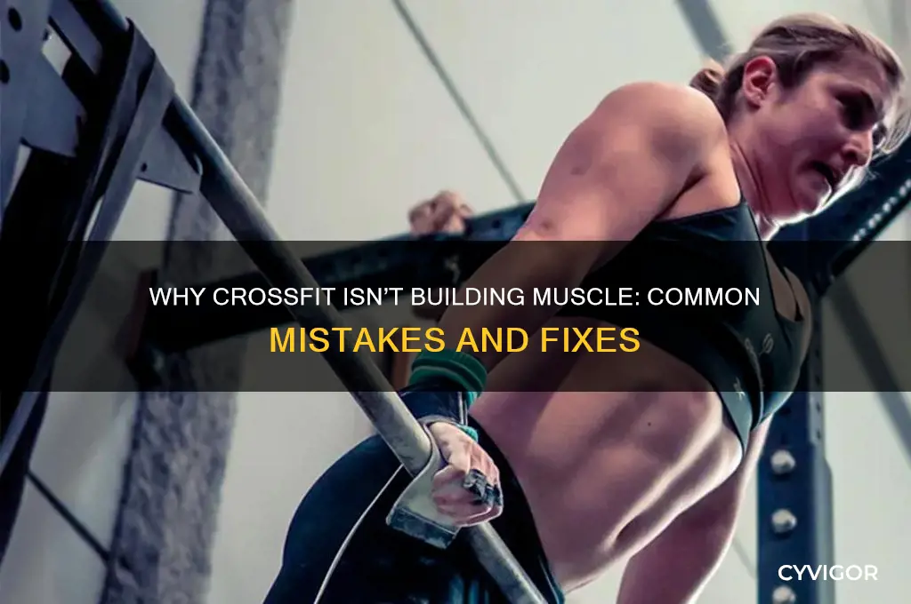 why am i not gaining muscle crossfit