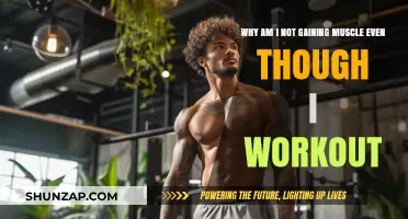 Why Your Workouts Aren’t Building Muscle: Key Mistakes to Fix
