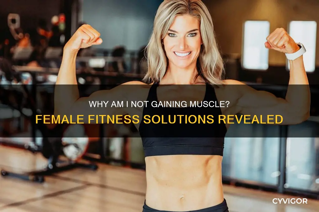why am i not gaining muscle female