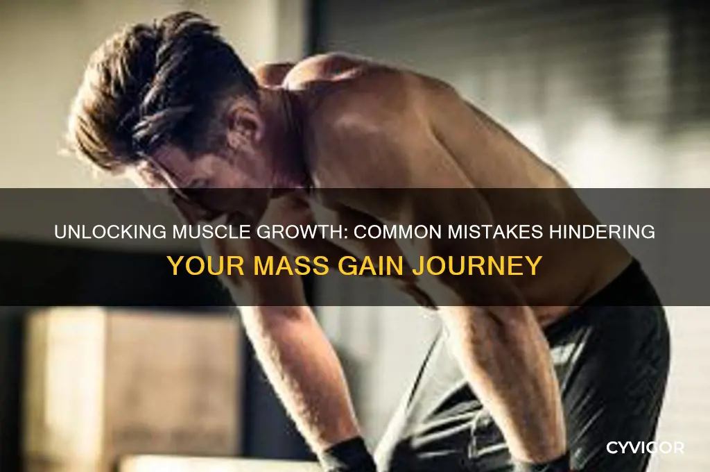 why am i not gaining muscle mass