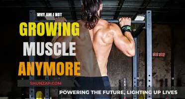 Why Your Muscle Growth Has Stalled: Key Factors and Solutions